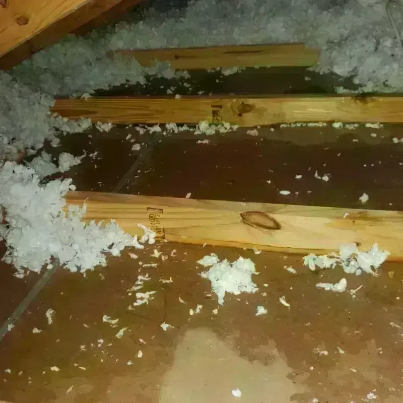 Attic Water Damage in Fullerton, CA